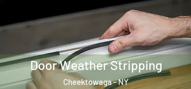 Door Weather Stripping Cheektowaga - NY