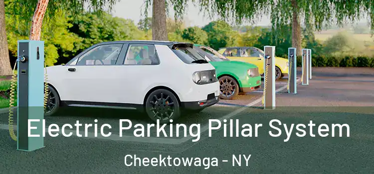 Electric Parking Pillar System Cheektowaga - NY