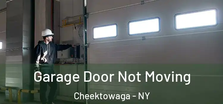  Garage Door Not Moving Cheektowaga - NY