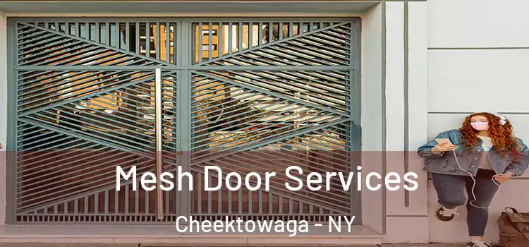 Mesh Door Services Cheektowaga - NY